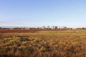 Open field of undeveloped land with city skyline in the distance, illustrating the land development process before building a home.