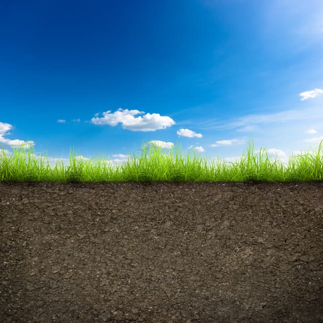 Soil and grass on Oklahoma land