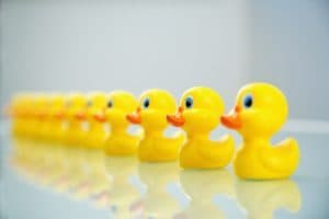Helping you get your ducks in a row