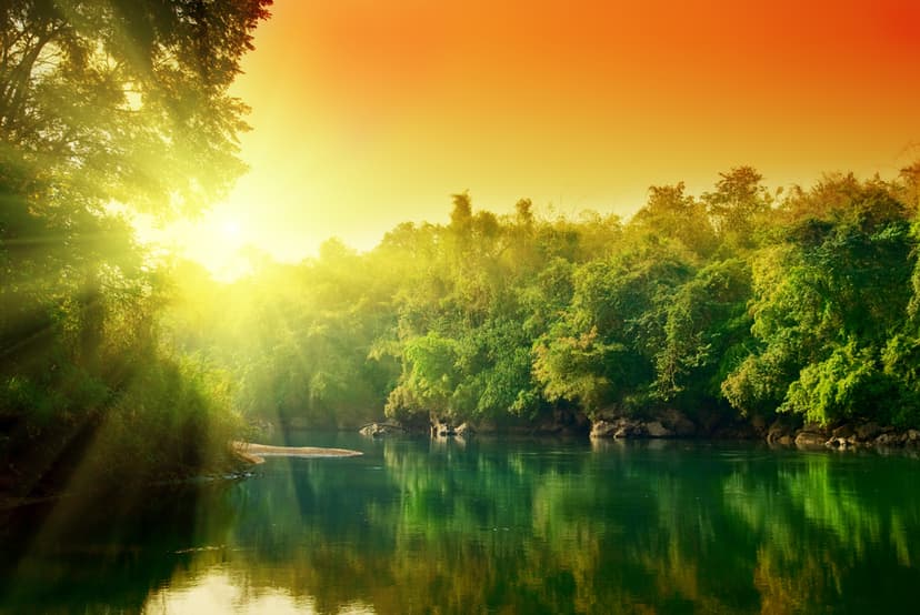 How to Plan Your Most Successful Week - Personally and Professionally