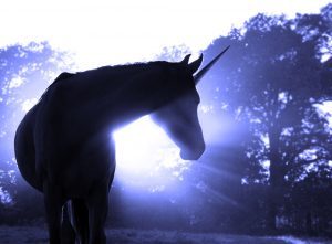 Unicorn-300x221