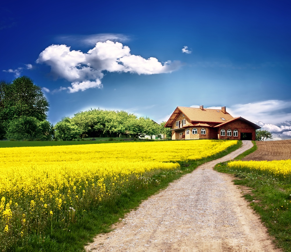Home on open land